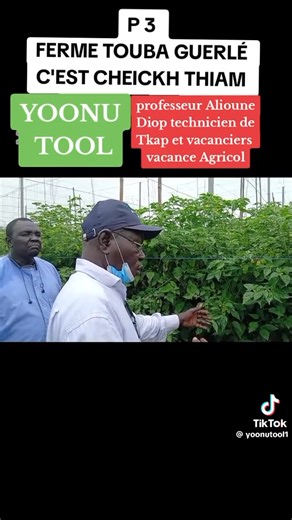 @Younutool a joal visite FERME TOUBA GUERLÉ DE CHEICKH THIAM PROFESSEUR ALIOUNE DIOP TECHNICIEN DE TKAP FAIT UNE EXPOSÉ AVEC LES VACANCIERS VACANCE AGRICOLE DANS LE FERME TOUBA GUERLÉ | Yoonu tool1