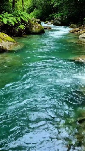 Peaceful Flowing Spring Water | Loop Nature Video with Calming Vibes#viral #youtubeshorts