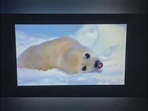 Roconia Projector: How to connect your projector with smart phone ?