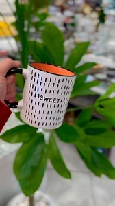 ☕️ Votre pause café n’a jamais été aussi stylée ! ✨ Découvrez notre collection de mugs parfaits pour vos moments de détente✨ #MugsLovers #CaféStyle | Espace Zed