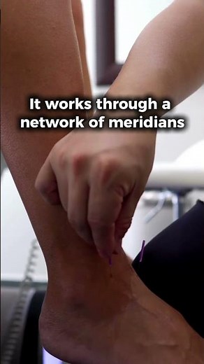 Acupuncture Explained: How It Regulates the Nervous System & Supports Healing