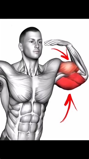 9 Best Triceps Workouts at the Gym to Build Strength, Size, and Definition by Effectively Targeting All Three Heads for Maximum Muscle Growth, Power, and Aesthetic Arm Development for Bigger, Stronger Arms #waitandwatch #fitness #motivation #foryou #fyp LiftLegend Gym #gymtip | LiftLegend Gym