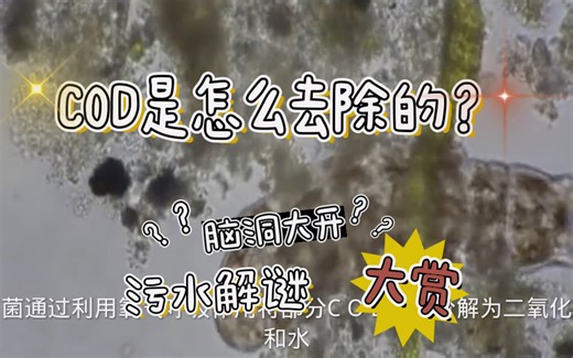 比喻很有趣，通俗解读：污水处理厂COD是怎么去除的？出水COD怎样才能稳定达标？