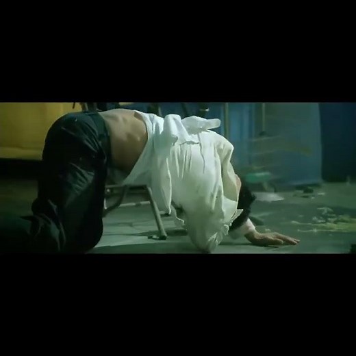 FLASH POINT FIGHT SCENES PART 1 || Donnie Yen