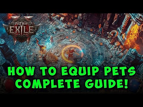 How to Equip Pets in Path of Exile 2