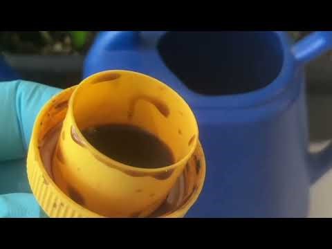 How to Fertilize Pepper Seedlings