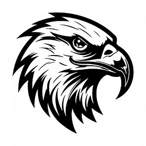 Black outline silhouette of eagle vector logo art. Bird mascot icon...