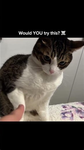 ￼ This Went Wrong FAST 💀