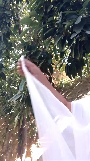 Hala's tatting على TikTok