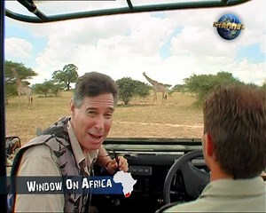 Kulula.com : American - Culture Pub