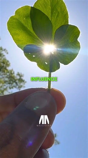 Quantum Physics Meets Spirituality 🍀