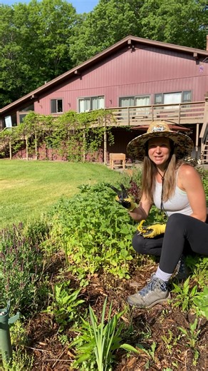 The Chelsea Chop is one of the simplest ways to shape a native plant garden without staking, tying, or fighting floppy stems. By cutting back select perennials in late spring, you can control height, delay flowering for a longer season of color, and often get more blooms overall. Instead of everything flowering at once and collapsing midsummer, your garden stays layered, sturdy, and interesting for weeks longer. Great for plants like coneflowers, asters, goldenrod, and joe pye weed in naturalist