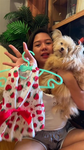 Summer Pet Dress 🍓 #petclothes #dogdress #petoutfit #dressfordogs #clothesfordogs Dress for dogs girl. dress for dogs girl shih tzu. dress for dogs. pet clothes for dog. pet clothes for dog girl. cute pet clothes. cute pet clothes ideas. cute dog clothing. cute dogs outfits pet dress for female pet dress for dogs pet dress for cat pets dressed up pets dressing