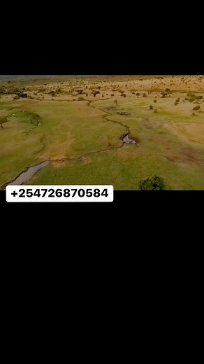 65K views · 439 reactions | Get your vr headset today #trending | Jay Virtuix | Facebook