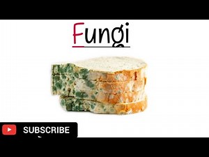 Fungi | Microorganisms | Grade 11 |Biology