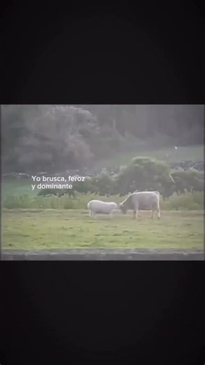 Laura Leon | Yes I am 🔂 | Instagram