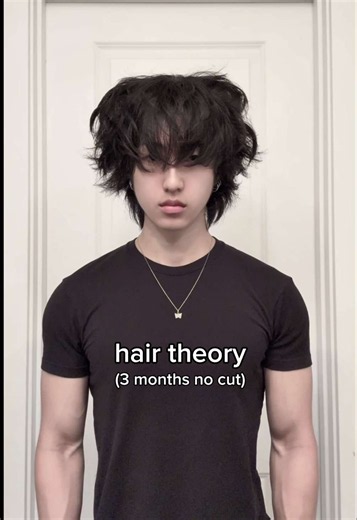 which one looks the best? #hairtheory #menshairstyle #middlepart #fringe #larrycroft
