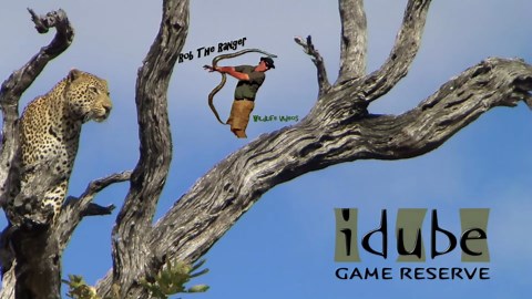 WILDlife: Leopard Copulation And Dismount