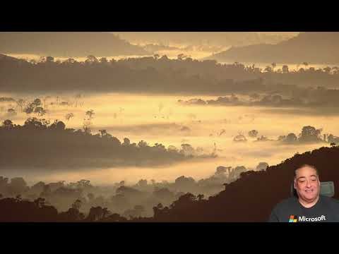 Sitefinity NextJS Setup