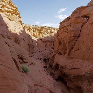 433K views · 4.6K shares |  SOUND ON  Listen to the mesmerising sounds of #PlanetEarth2 'Deserts'. #RealHappiness | BBC Earth | Facebook