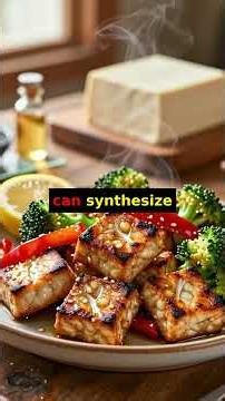 Tempeh vs Tofu: Why Fermentation Boosts Protein & Vitamin B12