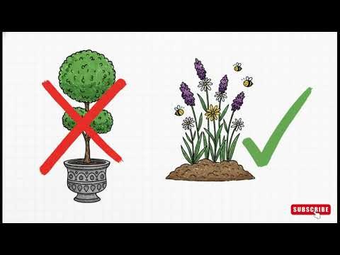 India’s Bee Highways: A Green Corridor for Our Pollinators 🐝🌿