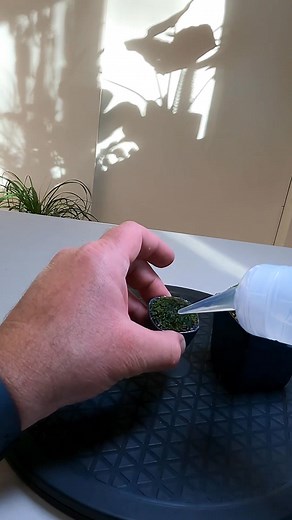 It’s time to water my mini and micro pots of live moss!  Did you...