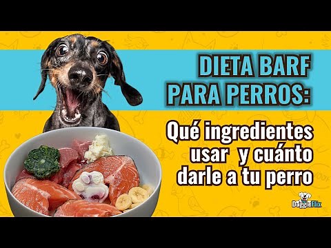 DIETA BARF PARA PERROS: GUÍA COMPLETA CON EJEMPLOS Y CANTIDADES