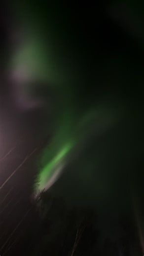 🥀Micki Rose🥀 (@mickirose)’s videos with Rugrats Theme (From