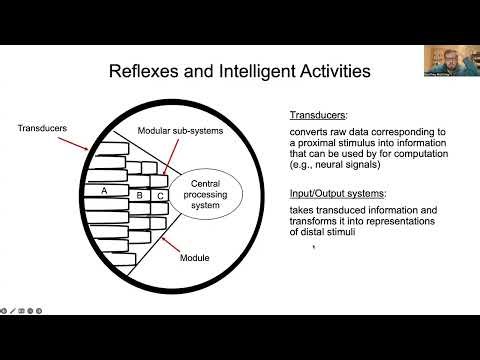 Cognitive Science: Lecture 7.3: Cognitive reflexes pt2