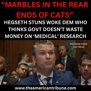 Freedom From The Press on Reels