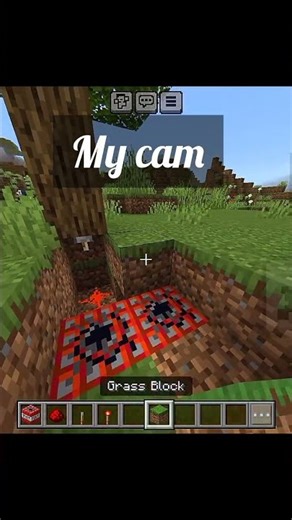 #short How to make a Tree troll Trap in Minecraft.