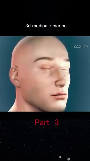 3D Medical Imaging Techniques and Equipment Demonstration