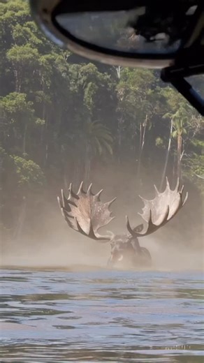 Amazon MONSTER — Who’s Brave Enough? #MonsterSighting #AmazonMonster #GiantCreature #BiggerThanTrees #MilitaryFootage WatchTillEnd Shorts FYP ForYou | Nature.love