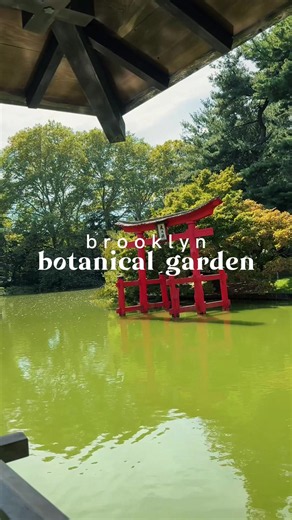 the most beautiful botanical garden i’ve been to yet 💚 #brooklyn#fyp#botanicalgarden
