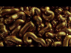 Golden Metallic Snakes Background Loop | 😍 Free Download