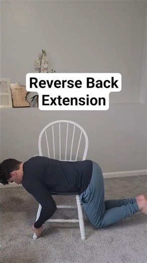Reverse Back Extension Micro Workout for Desk Pros