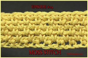 119K views · 391 reactions | Stitch Gallery & Glossary Episode #24:...