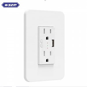 [Hot Item] Smart Life Mini WiFi Smart Plug with USB Charging Port Socket