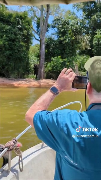 Explore Rubondo Island Safari Adventures in Tanzania