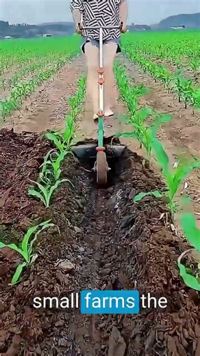 Simple Innovation for Farmers: Manual Plow Tool