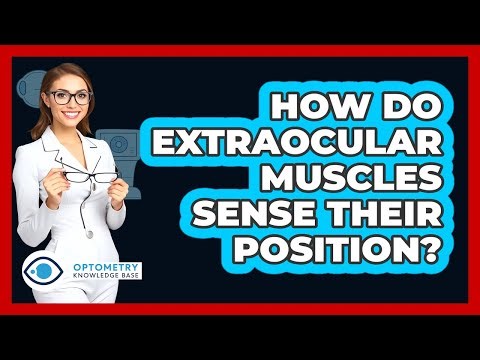 How Do Extraocular Muscles Sense Their Position?