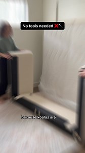 Australia's #1 brand is available in the US | Koala