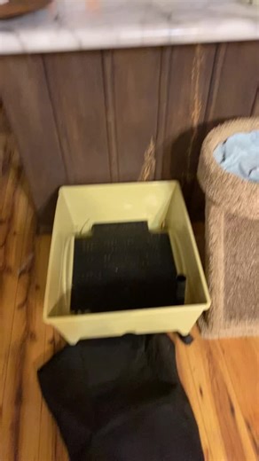 Watch Great size on Amazon Live