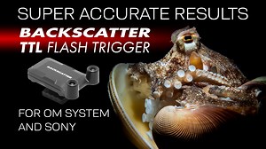 🚨 NEW: Backscatter Smart Control Optical TTL Flash Trigger! 🚨 Achieve super-accurate automatic flash exposures with the new Backscatter Smart Control Optical TTL Flash Trigger, designed for Olympus/OM System and Sony cameras. Key Features: TTL Flash Control – Perfect exposures with Backscatter strobes and more accurate than slave TTL USB-C Rechargeable – Quick charge and 13 hours of continuous runtime Manual Mode – Full control when you need it Rapid Fire – Over 30 FPS for fast action shooting