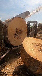 60K views · 219 reactions | What would you have done differently dealing with the heart rot? Trying to clean up the log to get a solid timber out of can be a little time consuming. But the end result are worth it. #logging #forestry #rot #clean #cut #saw | Peake Warren | Facebook