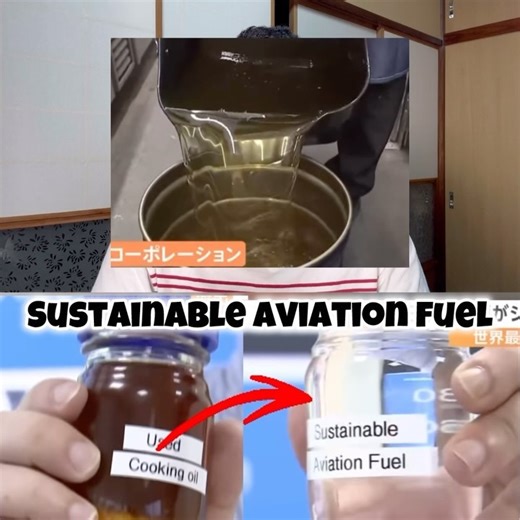 10K views · 261 reactions | Sustainable Aviation Fuel SAF from used cooking oil #saf #oil #co2 #emission #carbon #sustainability #sustainable #aviation | Japan Tamil Bros | Facebook