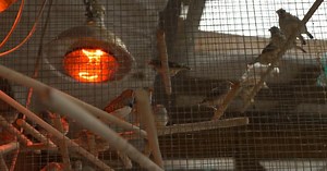 SciTech Now:Controlling the noise Season 4 Episode 29