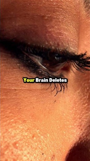 The Amazing Science Behind Blinking