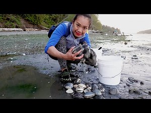 Digging for CLAMS! (catch and cook)
